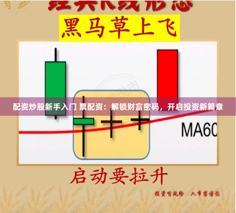 配资炒股新手入门 票配资：解锁财富密码，开启投资新篇章