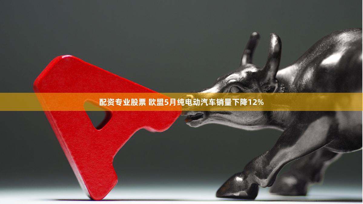 配资专业股票 欧盟5月纯电动汽车销量下降12%